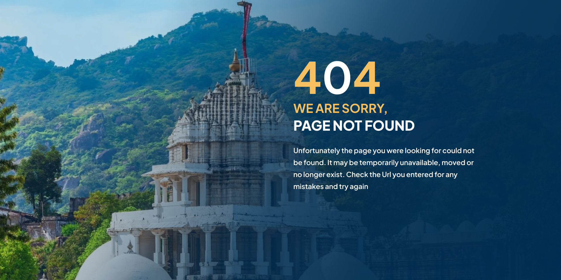 404 No Page Found Image